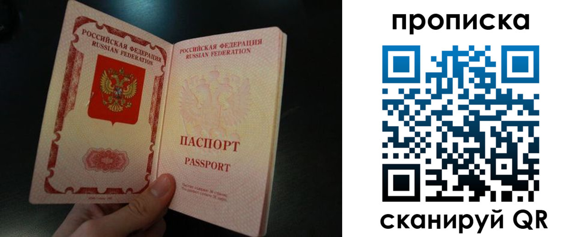 прописка штамп в Лузе